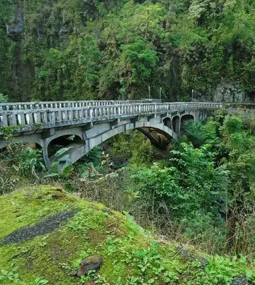 Concrete arched bridge crossing dense tropical green forest