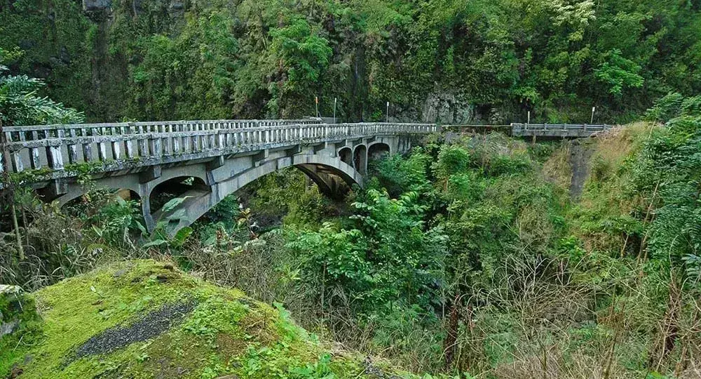 Old concrete bridge spanning tropical forest ravine covered in green moss and foliage