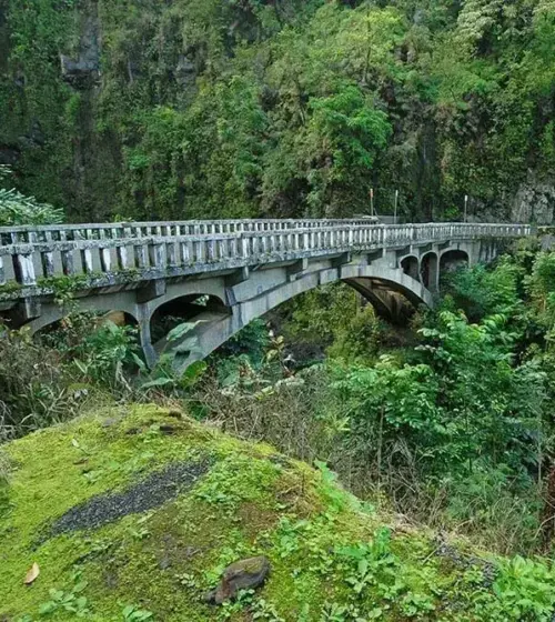 Old concrete bridge spanning tropical forest ravine covered in green moss and foliage