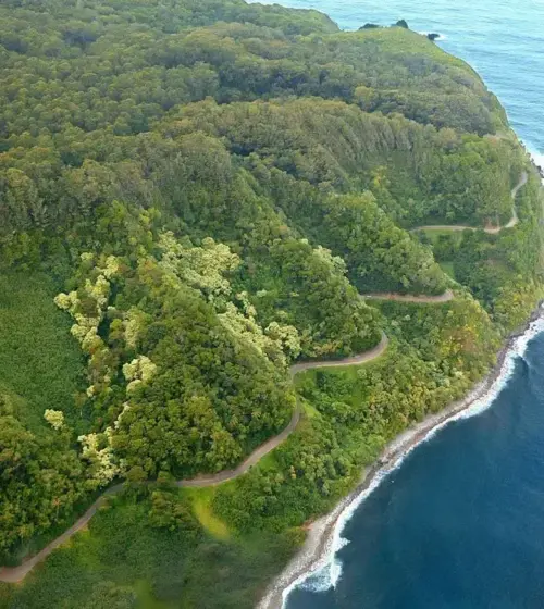 lush green coastal hillside with winding road alongside blue ocean