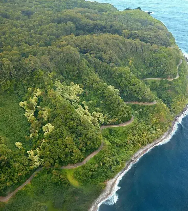 lush green coastal hillside with winding road alongside blue ocean