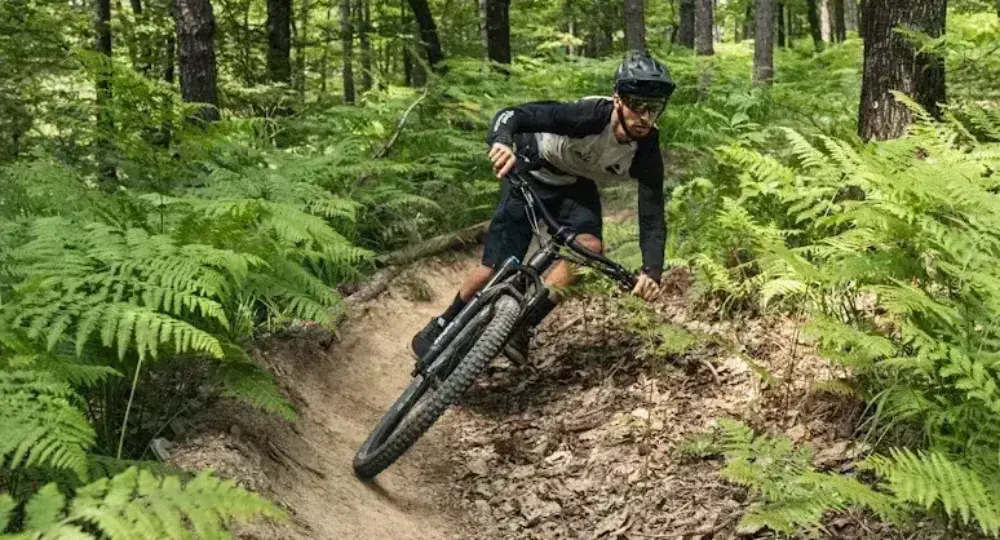 Man riding mountain bike on curved forest trail surrounded by green ferns and trees