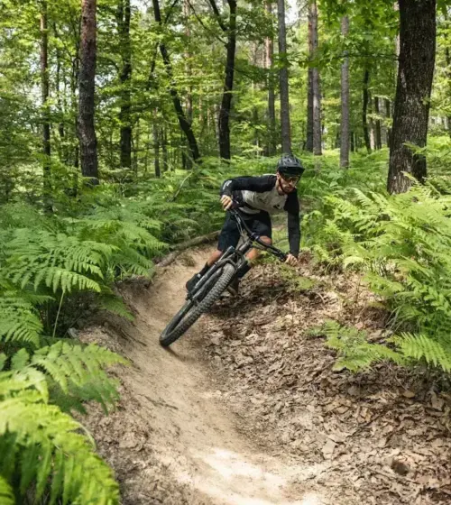 Man riding mountain bike on curved forest trail surrounded by green ferns and trees