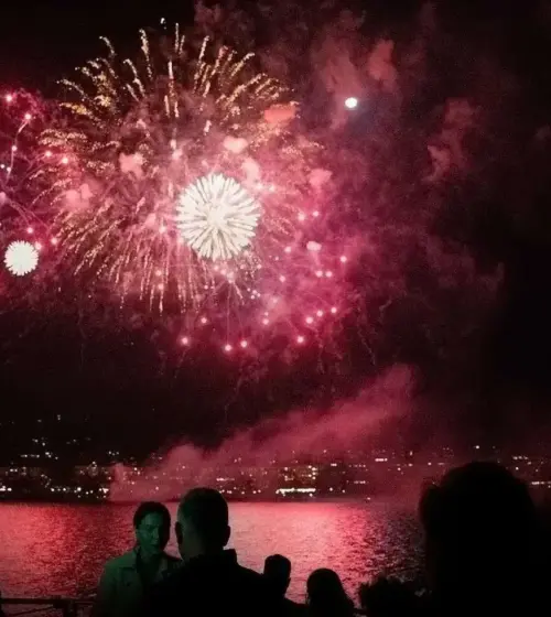 colorful red and white fireworks above water with city lights and silhouetted people watching