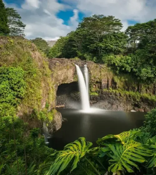tall waterfall flowing into a dark pool surrounded by dense tropical trees and large green leaves