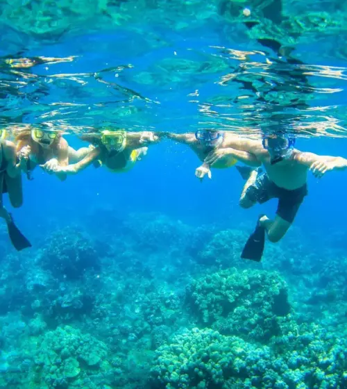 group of snorkelers swimming underwater above coral reef in clear blue water