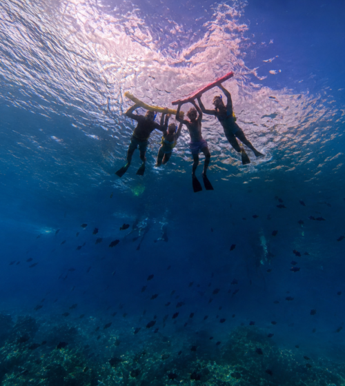 four snorkelers underwater holding pool noodles near water surface