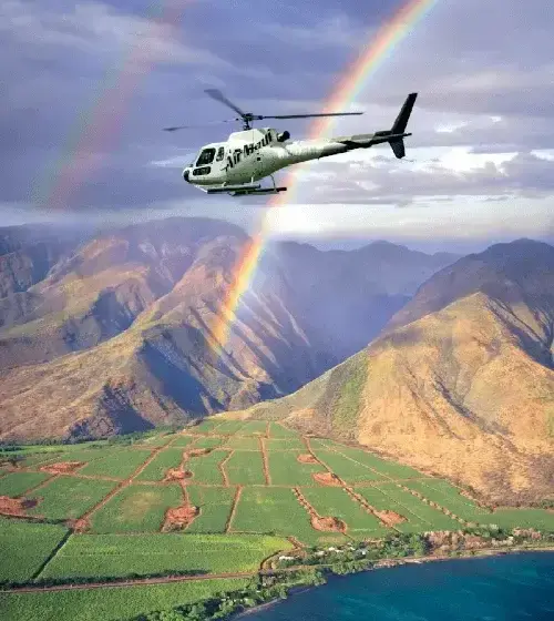 West Maui & Molokai Special